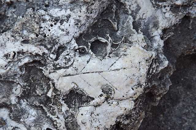 8a_2012_2013_dscf8519