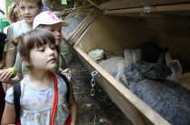 Školský rok 2014/2015