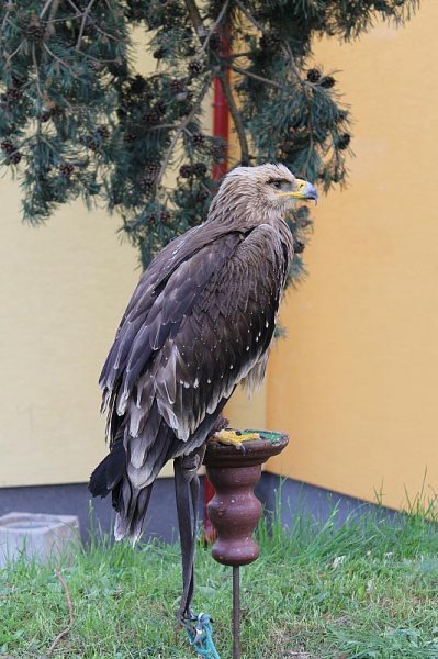 img_0220