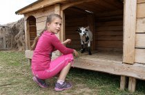 Školský rok 2014/2015